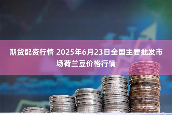 期货配资行情 2025年6月23日全国主要批发市场荷兰豆价格行情