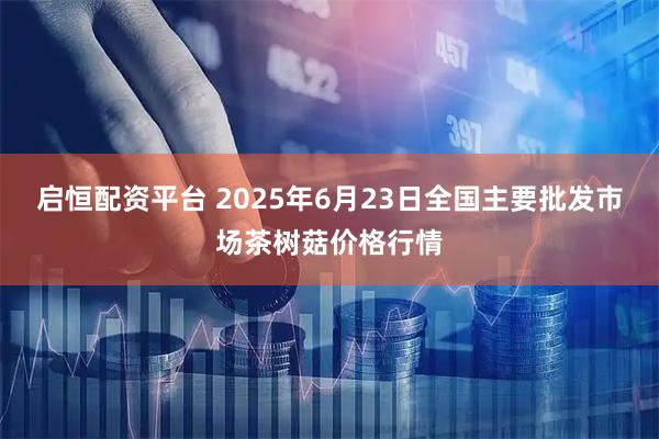 启恒配资平台 2025年6月23日全国主要批发市场茶树菇价格行情