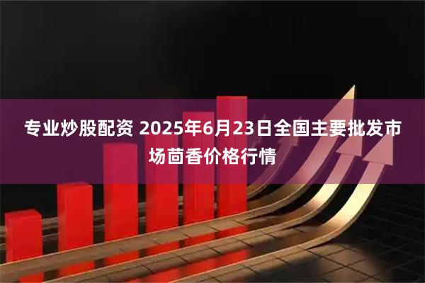 专业炒股配资 2025年6月23日全国主要批发市场茴香价格行情