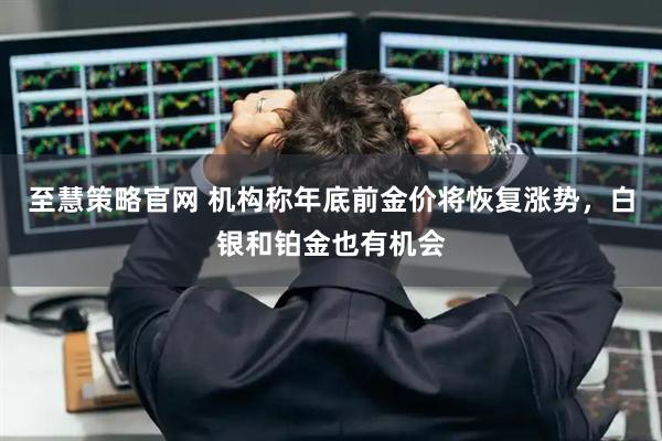 至慧策略官网 机构称年底前金价将恢复涨势，白银和铂金也有机会